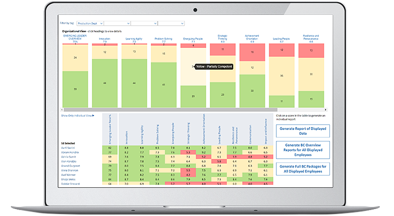 organizational analytics - behavioral competency